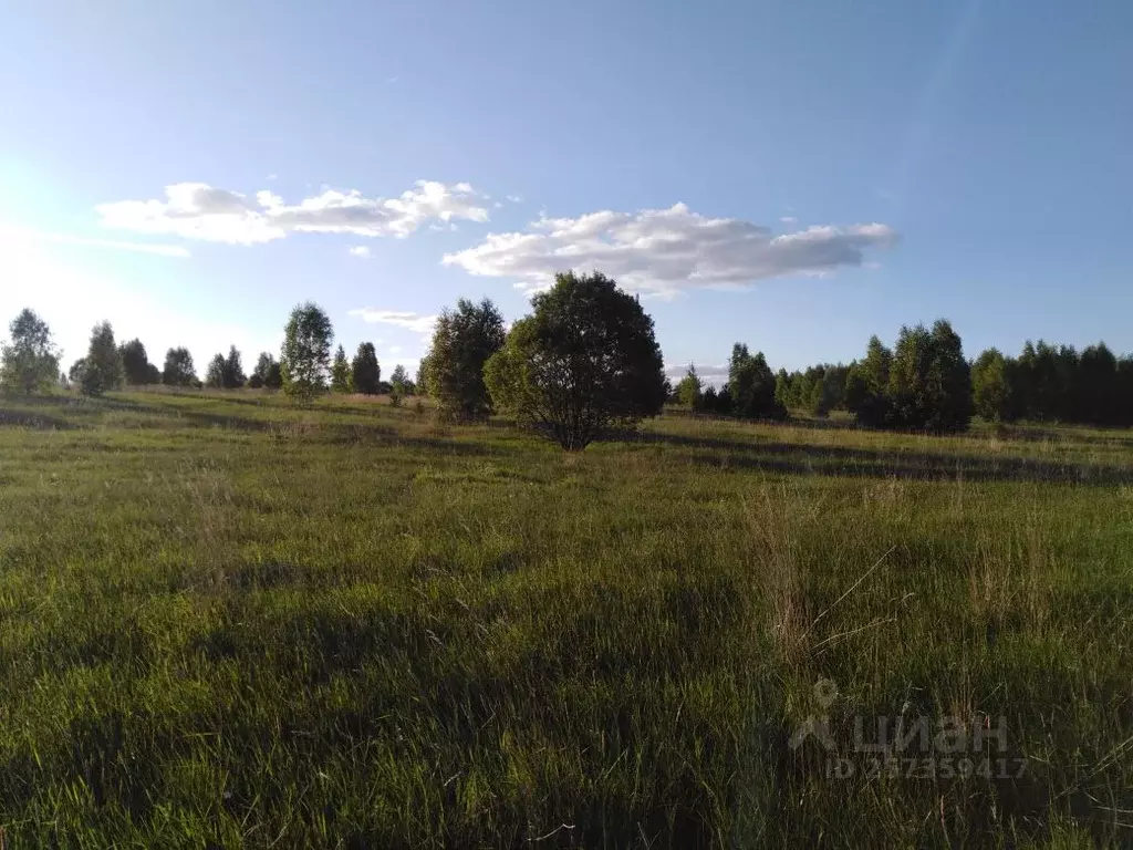 Участок в Ярославская область, Переславль-Залесский муниципальный ... - Фото 1