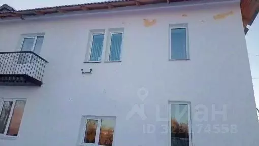 Помещение свободного назначения в Челябинская область, Троицк ул. ... - Фото 2