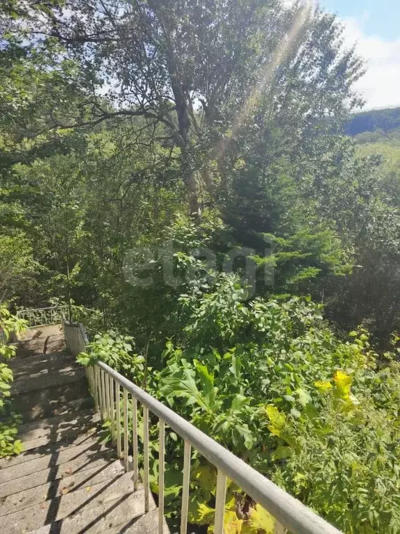 Участок в Сахалинская область, Южно-Сахалинск городской округ, с. ... - Фото 2
