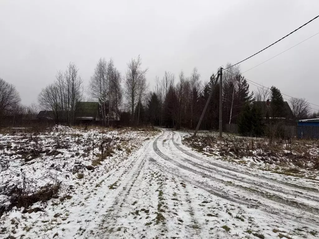 Участок в Владимирская область, Александровский муниципальный округ, ... - Фото 1