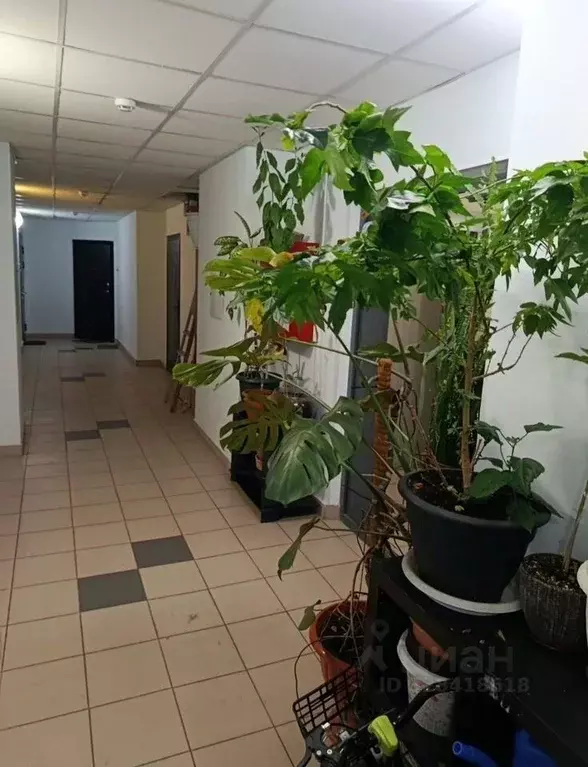 Студия Санкт-Петербург ул. Русановская, 19к2 (27.0 м) - Фото 1