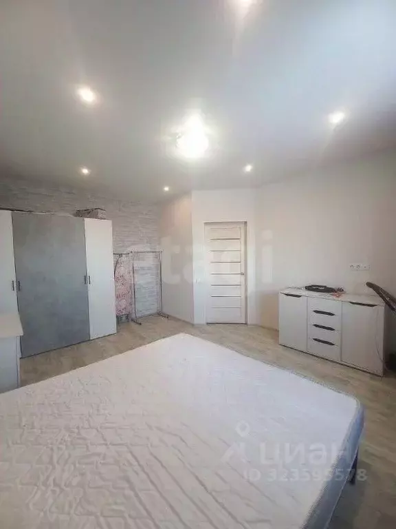 1-к кв. Амурская область, Благовещенский район, с. Чигири ул. ... - Фото 2