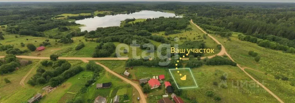 Участок в Новгородская область, Демянский муниципальный округ, с. ... - Фото 1