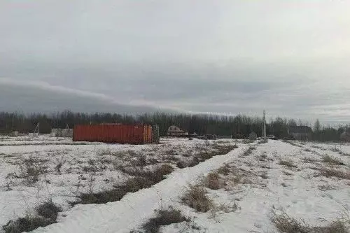 Участок в Новгородская область, Новгородский район, Трубичинское ... - Фото 2