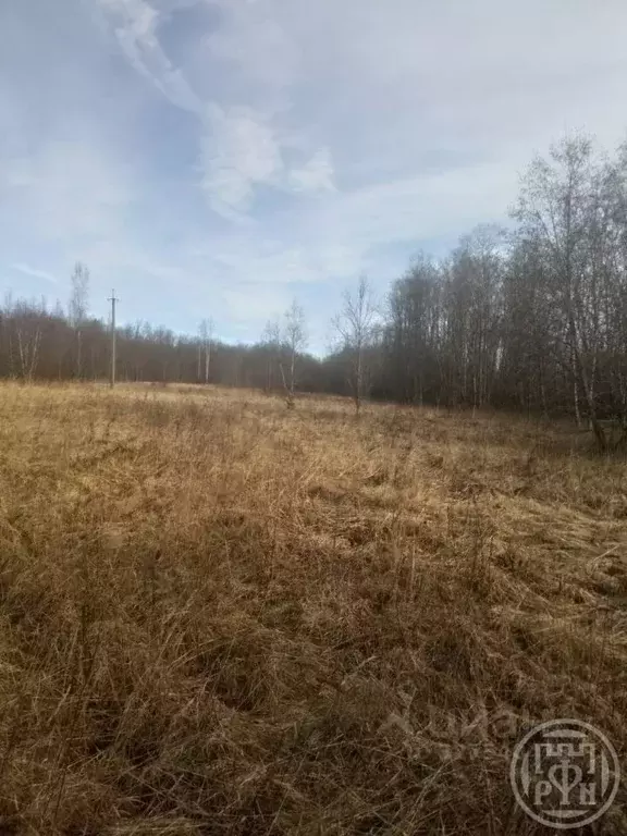 Участок в Новгородская область, Батецкий муниципальный округ, д. ... - Фото 1