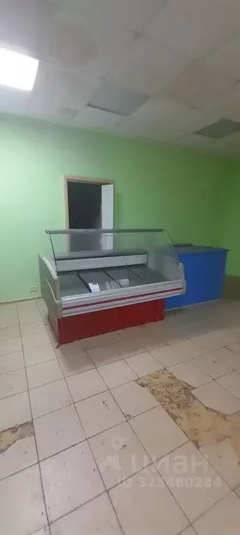 Помещение свободного назначения в Тамбовская область, Тамбов ул. Карла ... - Фото 2