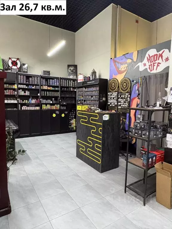 Помещение свободного назначения в Московская область, Мытищи просп. ... - Фото 2