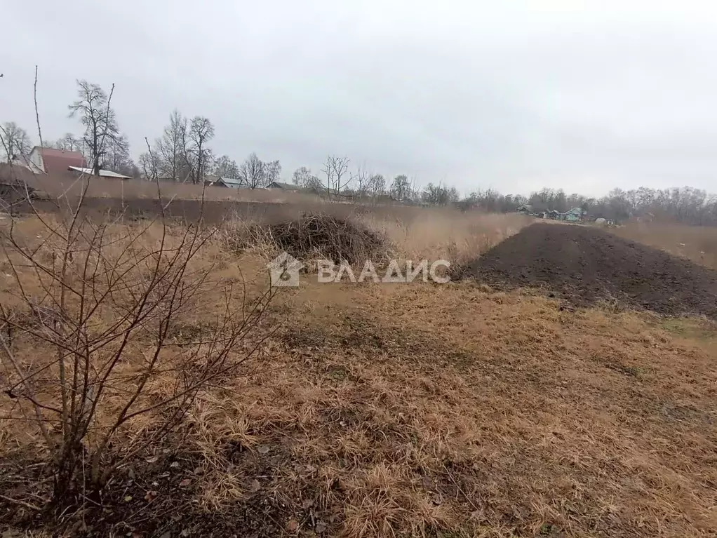 Участок в Московская область, Луховицы муниципальный округ, д. ... - Фото 1