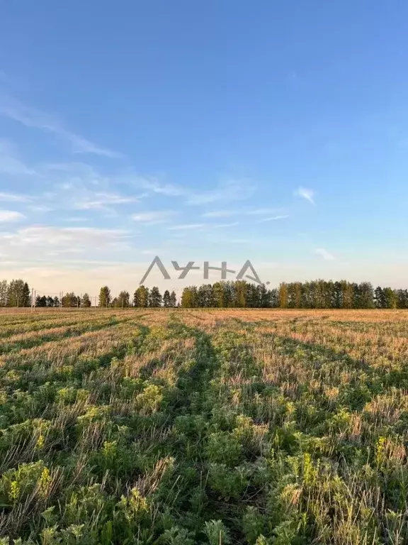 Участок в Татарстан, Тукаевский район, Калмиинское с/пос, Новая Калмия ... - Фото 1
