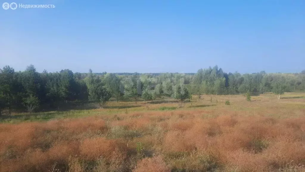 Участок в Балашовский район, Большемеликское муниципальное ... - Фото 1