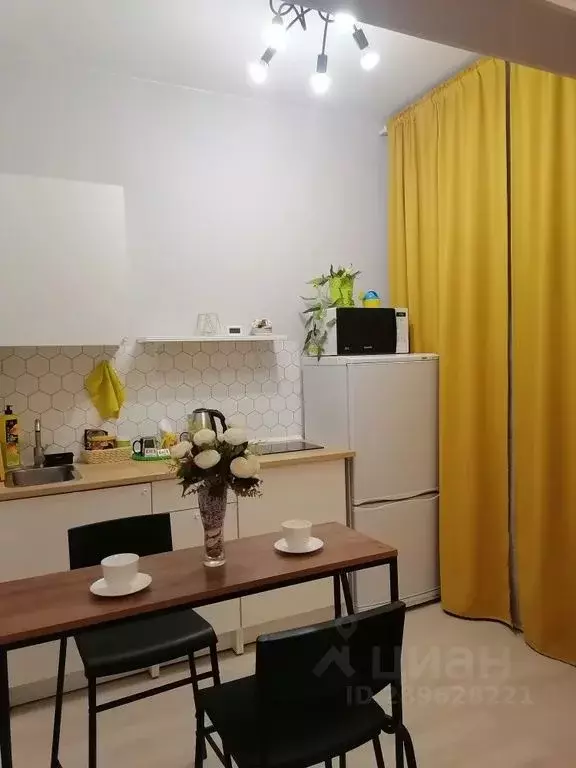 Студия Ленинградская область, Гатчина ул. Чехова, 43к1 (28.0 м) - Фото 1