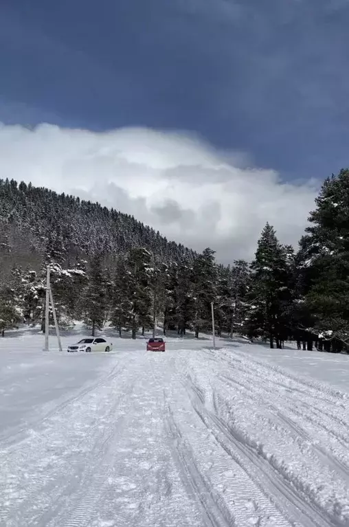 Участок в Карачаево-Черкесия, Зеленчукский район, с. Архыз  (50.0 ... - Фото 0