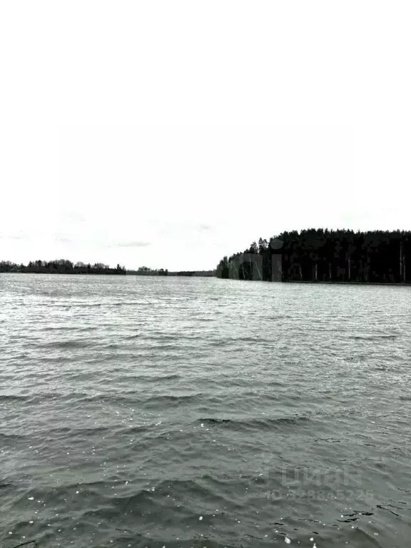 Участок в Ленинградская область, Приозерский район, Петровское с/пос, ... - Фото 2