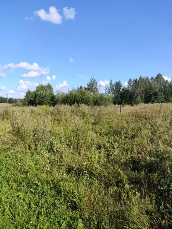 Участок в Владимирская область, Александровский район, Следневское ... - Фото 0