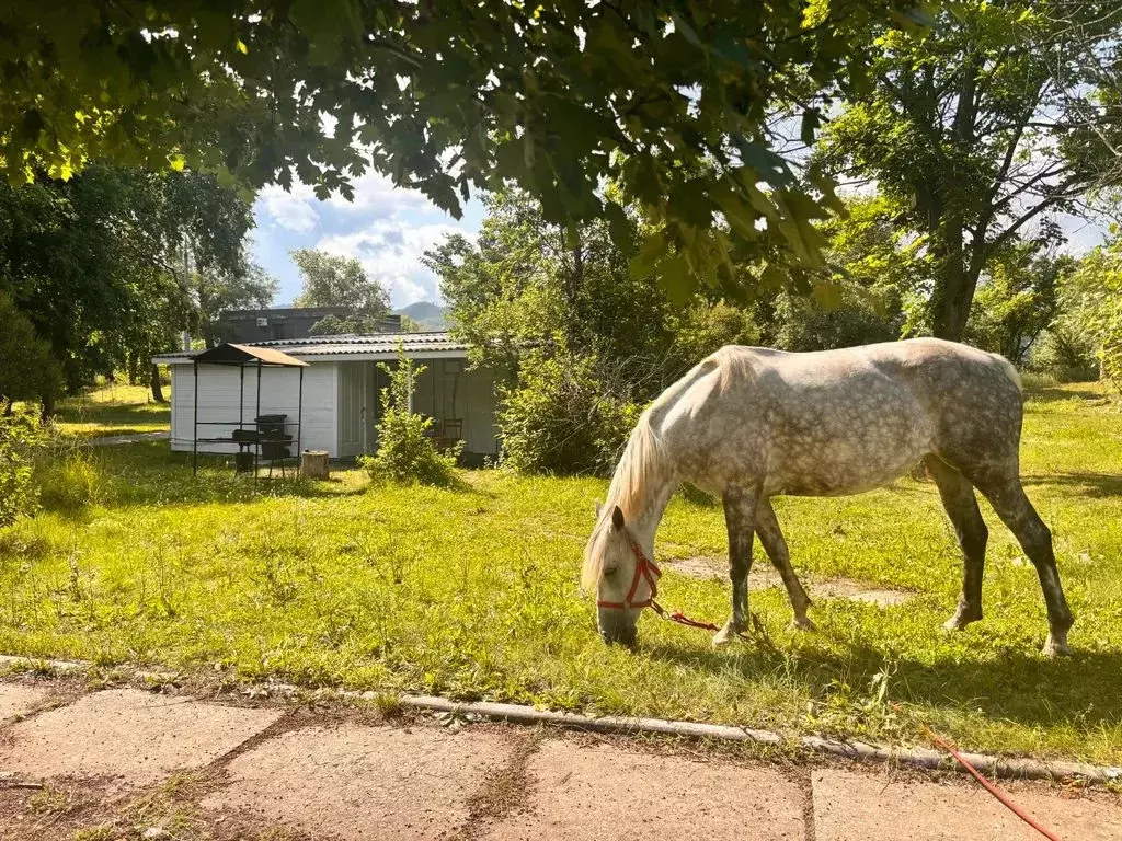 Дом в Самарская область, Тольятти Бурлацкая ул., 7 (45 м) - Фото 1