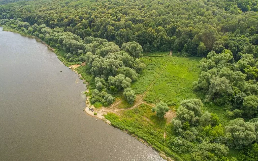 Участок в Тульская область, Ясногорский район, Иваньковское ... - Фото 1