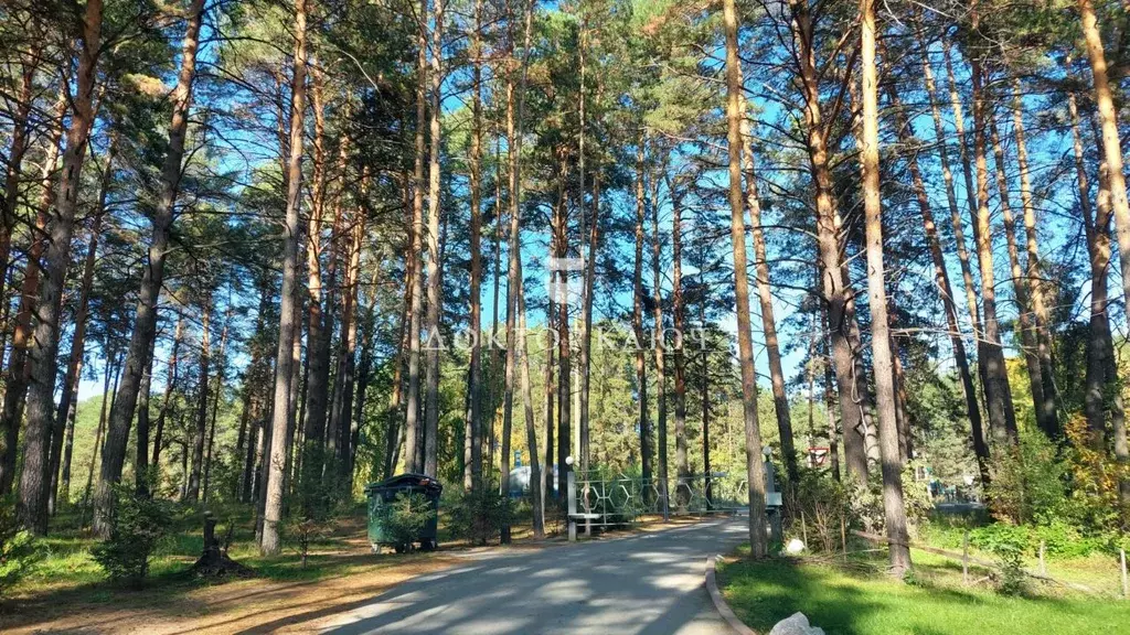 Участок в Новосибирская область, Новосибирский район, Кудряшовский ... - Фото 1