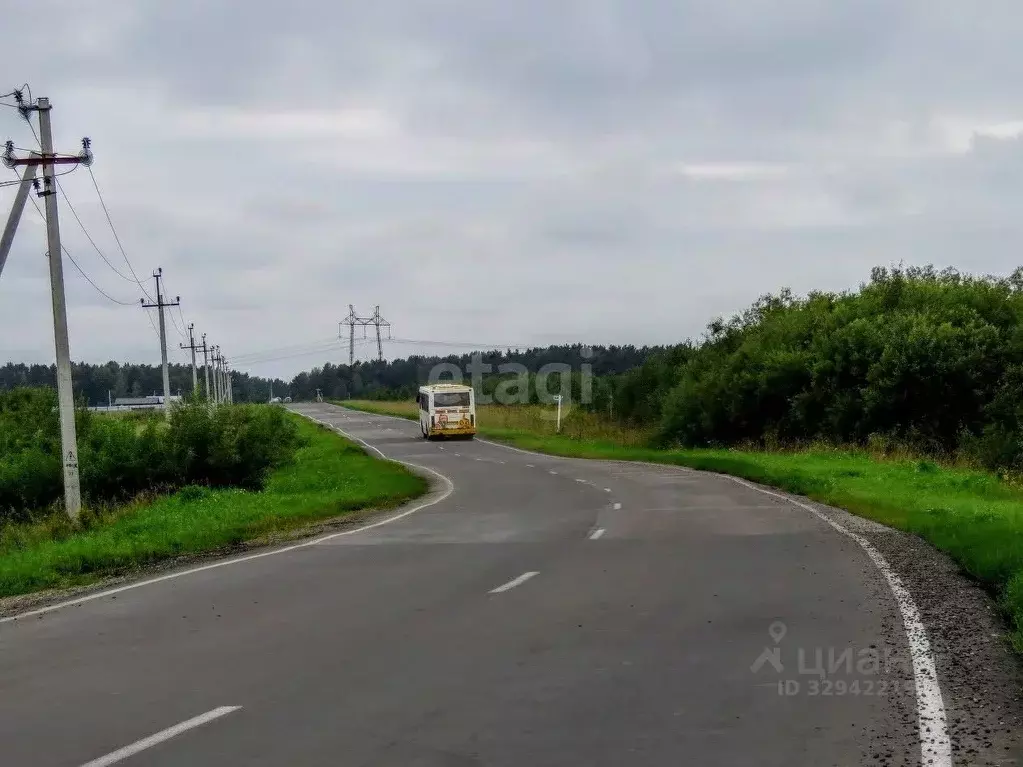 Участок в Кемеровская область, Кемеровский муниципальный округ, д. ... - Фото 1