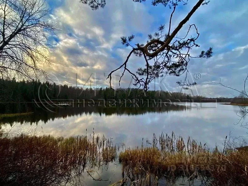 Участок в Ленинградская область, Выборгский район, Каменногорское ... - Фото 0