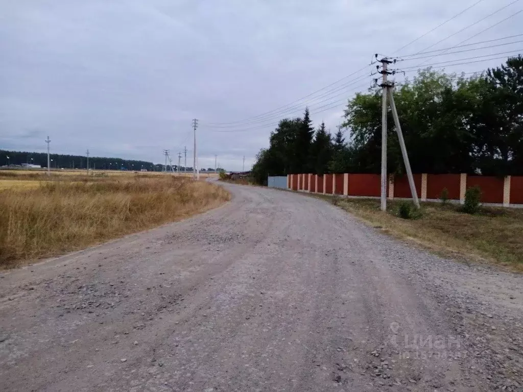 Участок в Свердловская область, Белоярский городской округ, с. ., Купить  земельный участок Косулино, Белоярский район, ID объекта - 20006205211