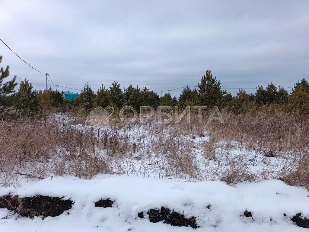 Участок в Тюменская область, Тюменский район, Лоза СНТ ул. 8-я (8.3 ... - Фото 1