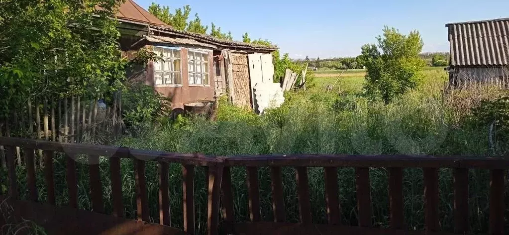 Дом 55,6 м на участке 50 сот. - Фото 1