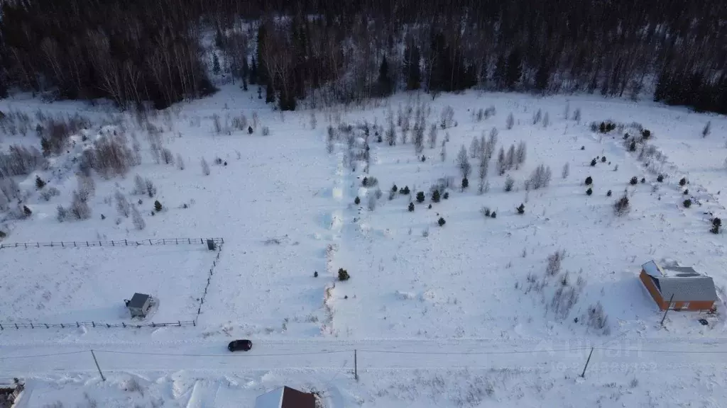 Участок в Томская область, Томский район, Новые Вешки ДНТ ул. ... - Фото 2