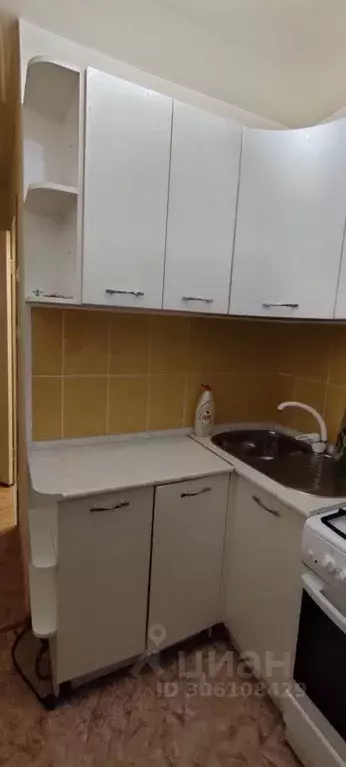 1-к кв. Пермский край, Пермь ул. Героев Хасана, 97 (28.0 м) - Фото 2