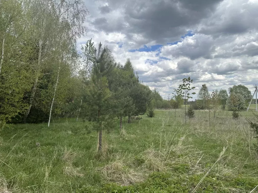 Участок в Московская область, Богородский городской округ, д. Ельня  ... - Фото 0