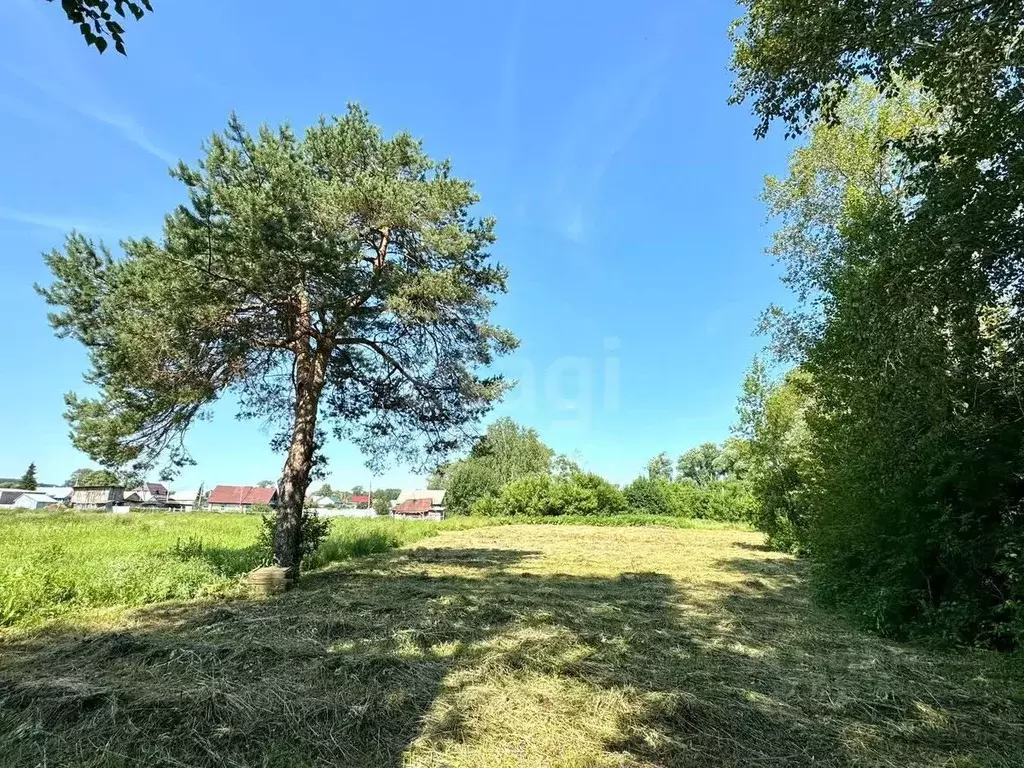 Участок в Татарстан, Сабинский район, Староикшурминское с/пос, с. ... - Фото 1