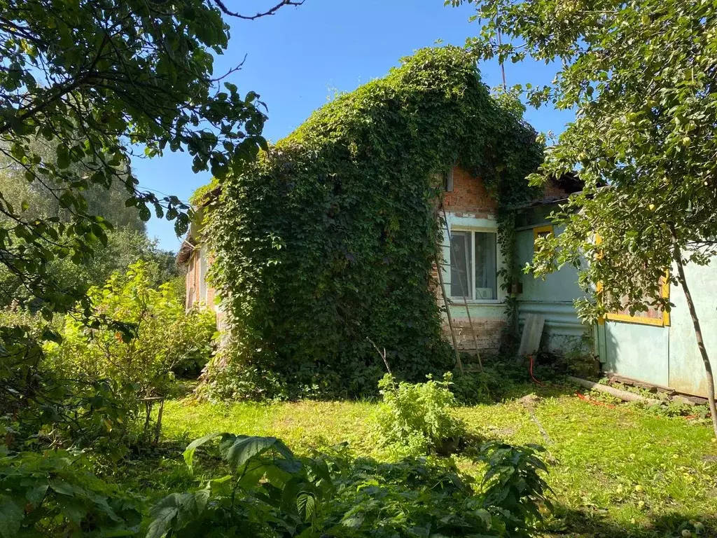 Дом в Смоленская область, Починковский муниципальный округ, д. ... - Фото 2