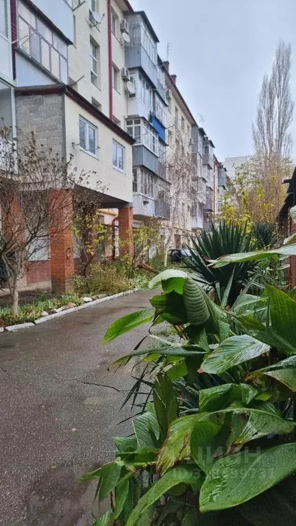 Квартира, 2 комнаты, 50 м - Фото 0