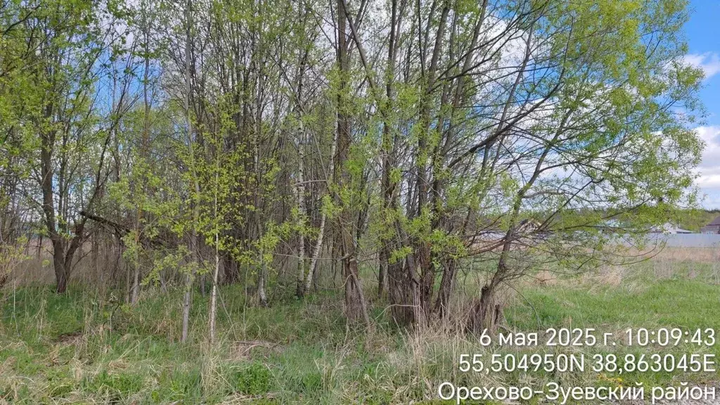 Участок в Московская область, Орехово-Зуевский городской округ, д. ... - Фото 0