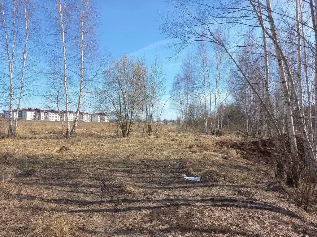 Участок в Владимирская область, Муром ул. Зарубина (8.5 сот.) - Фото 0