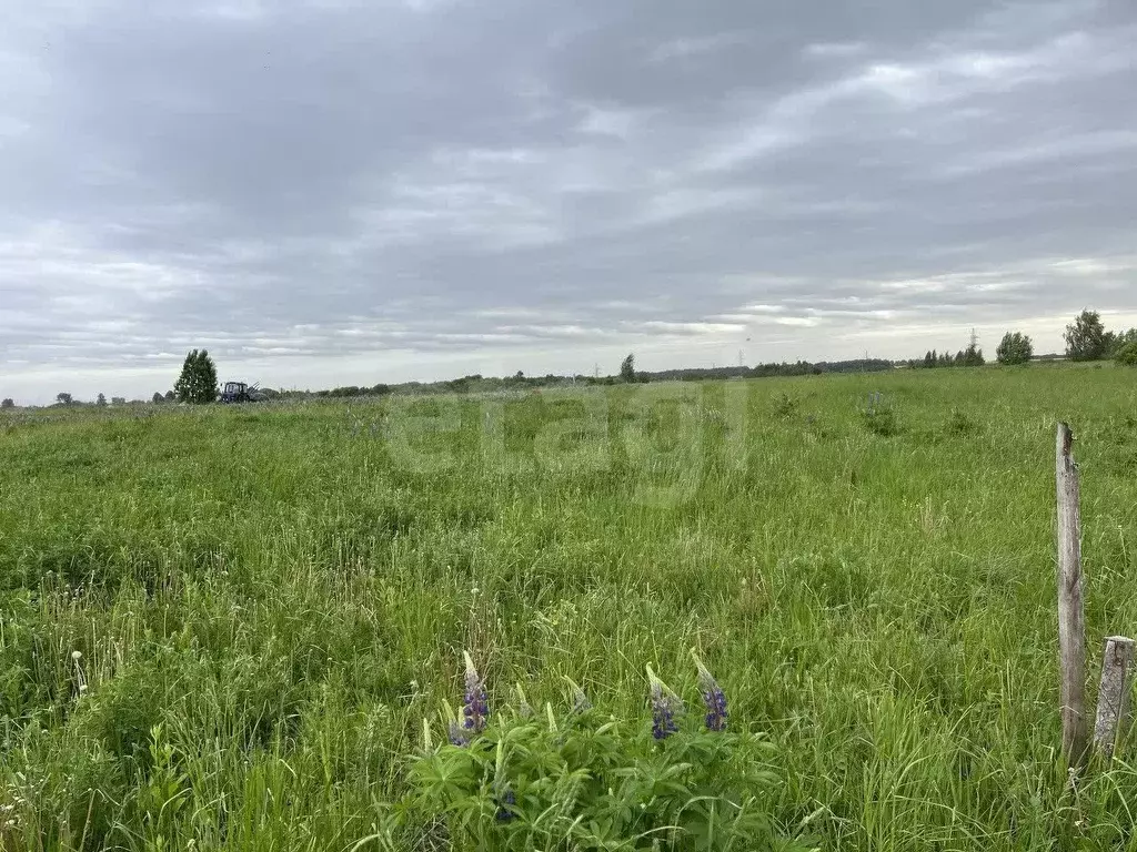 Участок в Брянская область, Брянский район, Добрунское с/пос, пос. ... - Фото 1