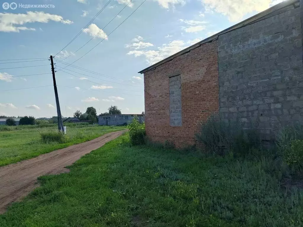 Помещение свободного назначения (3.5 м) - Фото 0