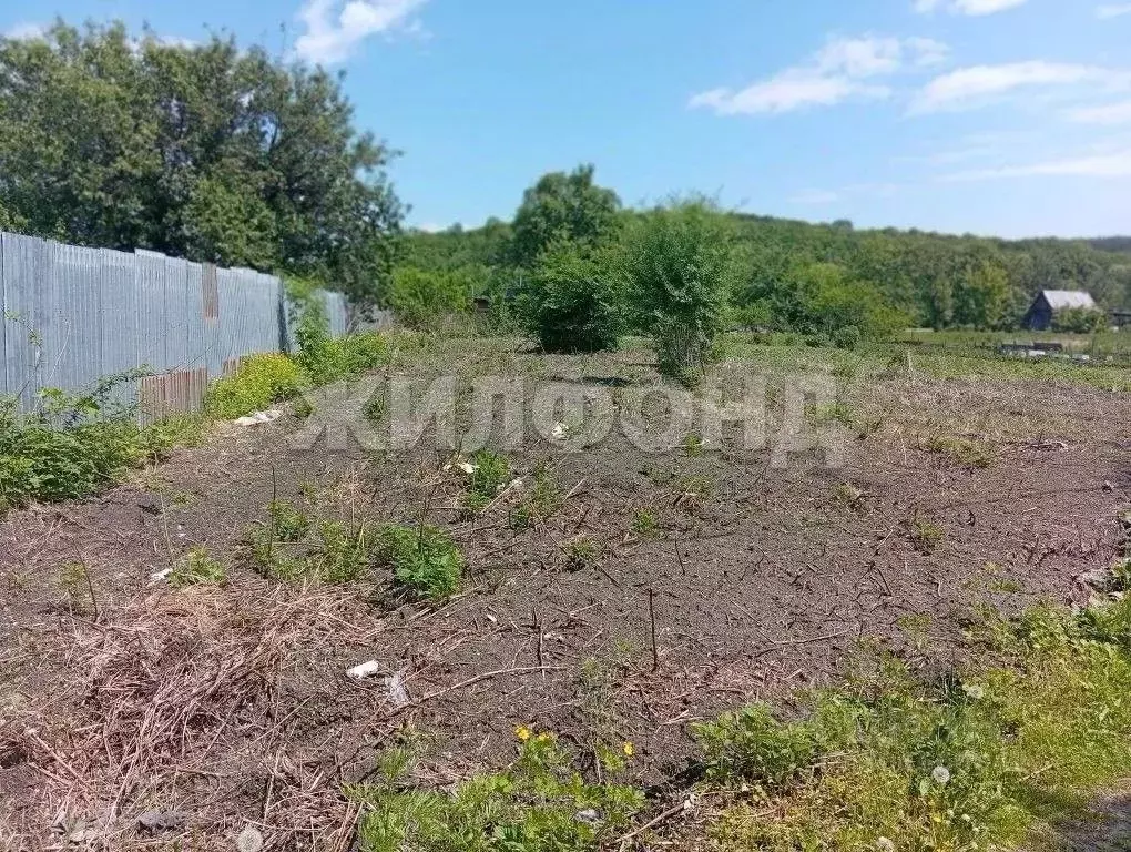 Участок в Амурская область, Благовещенск  (10.0 сот.) - Фото 1
