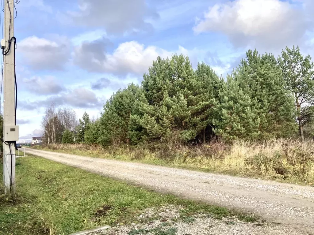 Участок в Тульская область, Заокский район, Страховское с/пос, д. ... - Фото 2