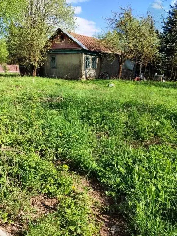 Дом в Московская область, Богородский городской округ, д. Березовый ... - Фото 0