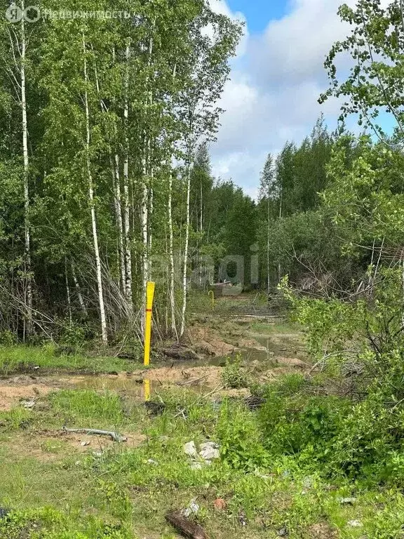 Участок в Ярославль, жилой район Липовая Гора (6.3 м) - Фото 1