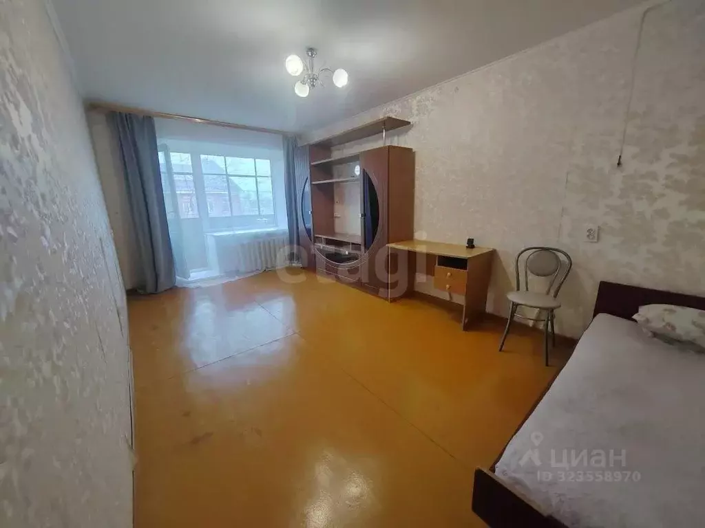 1-к кв. Пермский край, Чернушка ул. Нефтяников, 8 (30.4 м) - Фото 2