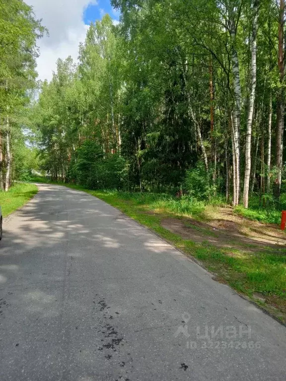 Участок в Нижегородская область, Семеновский муниципальный округ  (9.7 ... - Фото 1