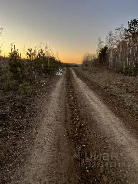 Участок в Иркутская область, Иркутский муниципальный округ, с. ... - Фото 1