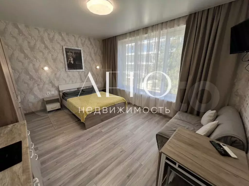 Апартаменты-студия, 25,2 м, 3/4 эт. - Фото 1