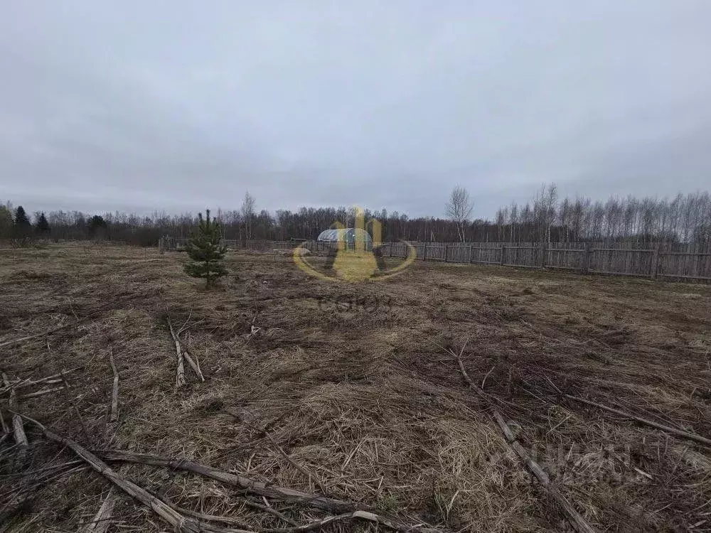 Участок в Ивановская область, Ивановский муниципальный округ, д. ... - Фото 1