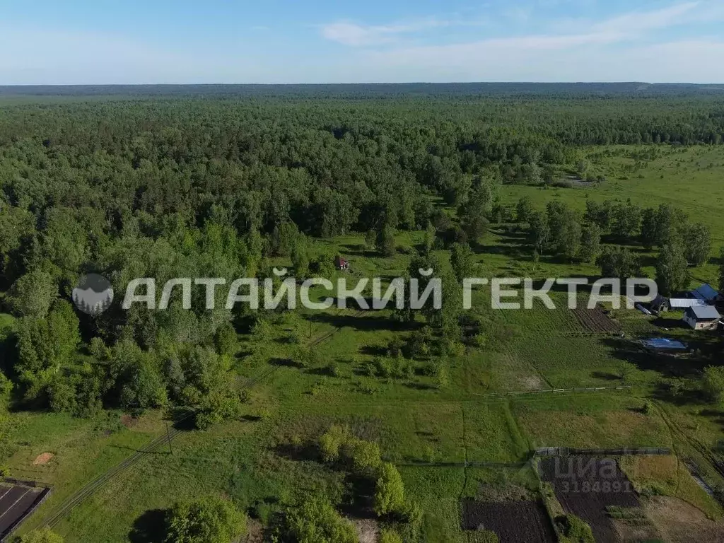 Участок в Алтайский край, Барнаул Заречная ул., 19 (13.0 сот.) - Фото 0