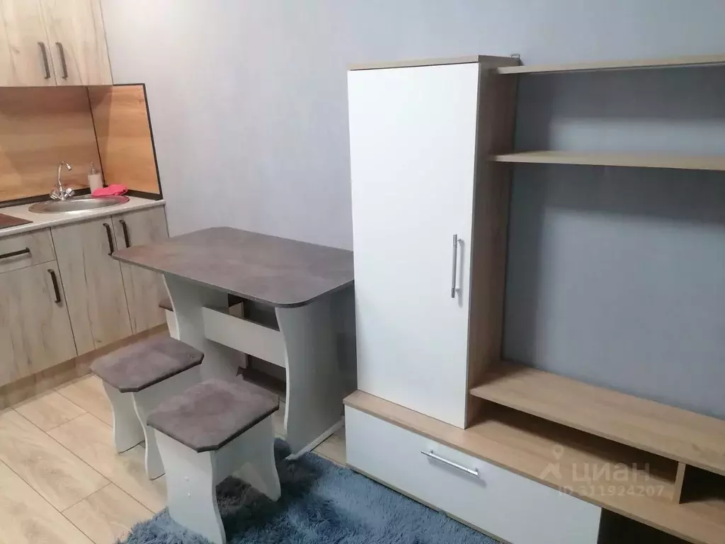 Студия Алтайский край, Барнаул ул. Георгиева, 2/11 (25.0 м) - Фото 2