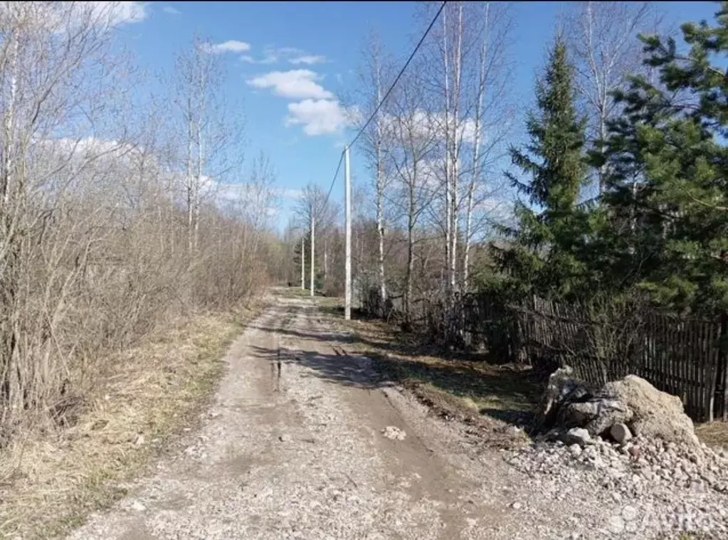 Участок в Новгородская область, Новгородский район, Борковское с/пос, ... - Фото 0