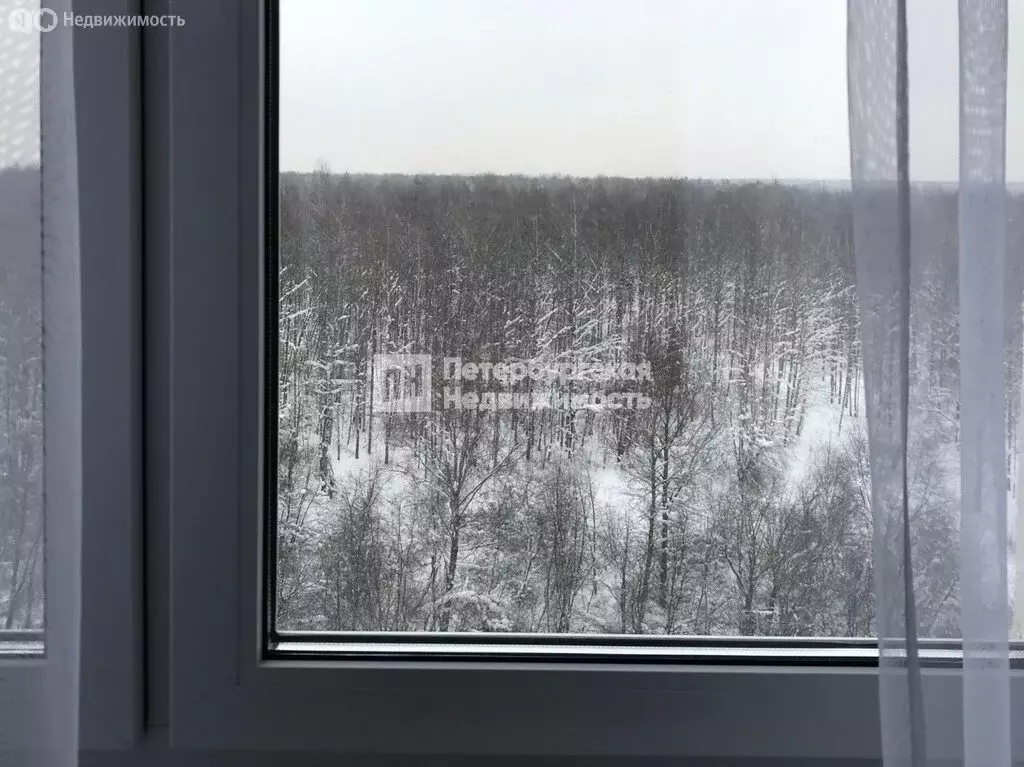 1-комнатная квартира: Санкт-Петербург, Пейзажная улица, 16к1 (34.7 м) - Фото 1