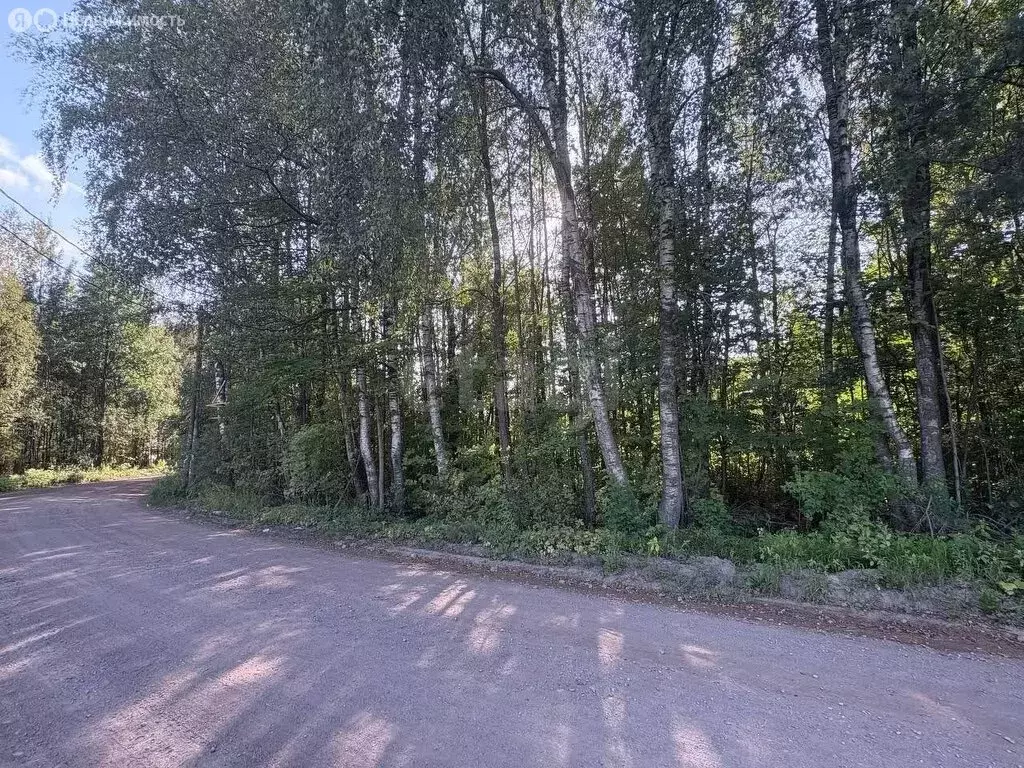 Участок в Рахьинское городское поселение, посёлок при железнодорожной ... - Фото 2